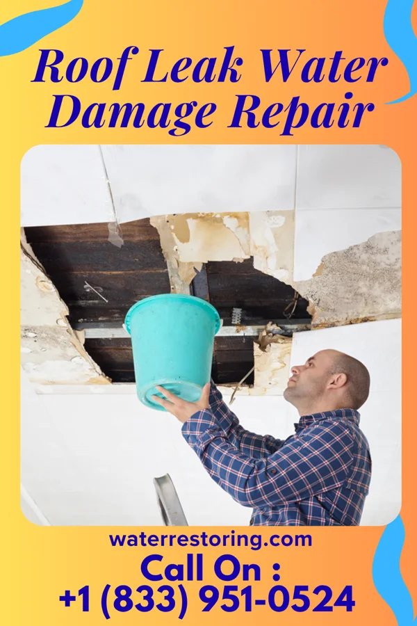 Roof Leak Water Damage Repair in Morocco, IN