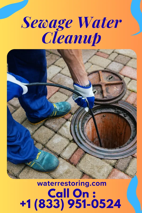 Sewage Water Cleanup in Morocco, IN